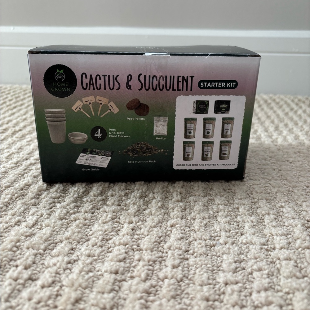 Cactus & Succulent starter kit! - Picture 2 of 4